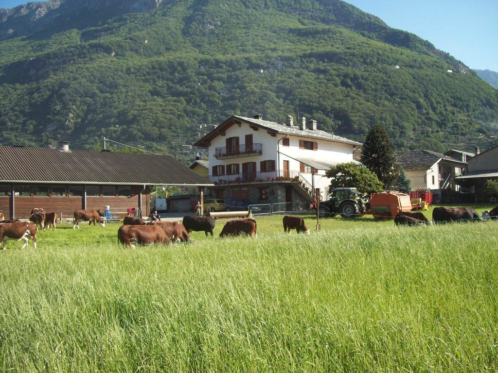 Agriturismo La Grange Pont-Saint-Martin Εξωτερικό φωτογραφία